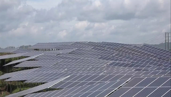 Sydney Fully Realizes 100% Green Energy Operation